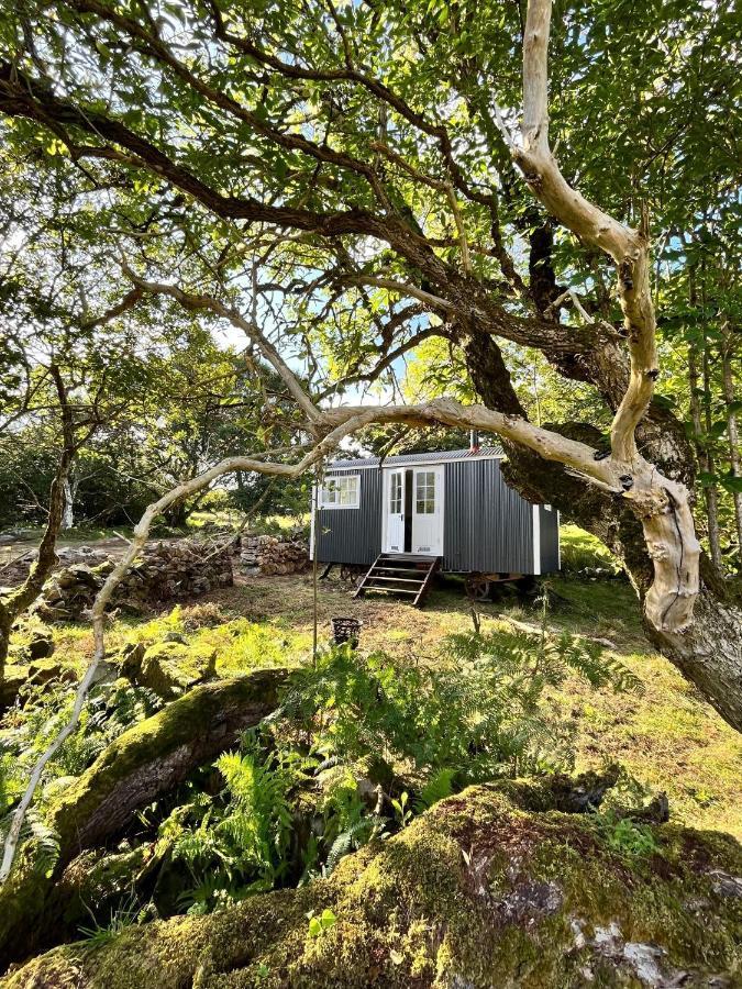 The Hazel Hut Villa Westport Exterior photo