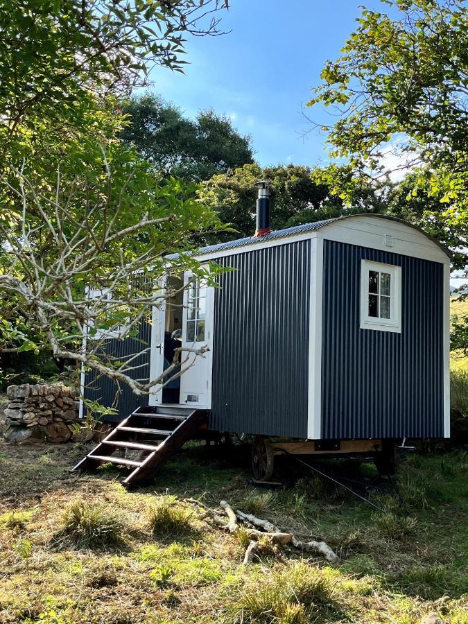 The Hazel Hut Villa Westport Exterior photo